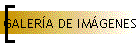 GALER�A DE IM�GENES